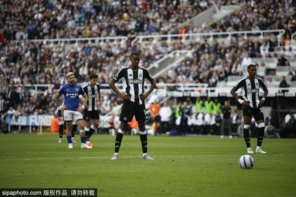 你要我给你 你要我给你